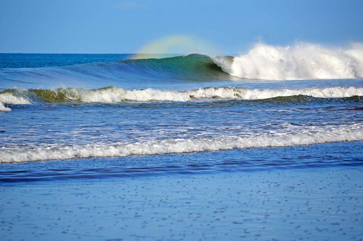 DOMINICAL