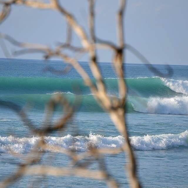 MATAPALO