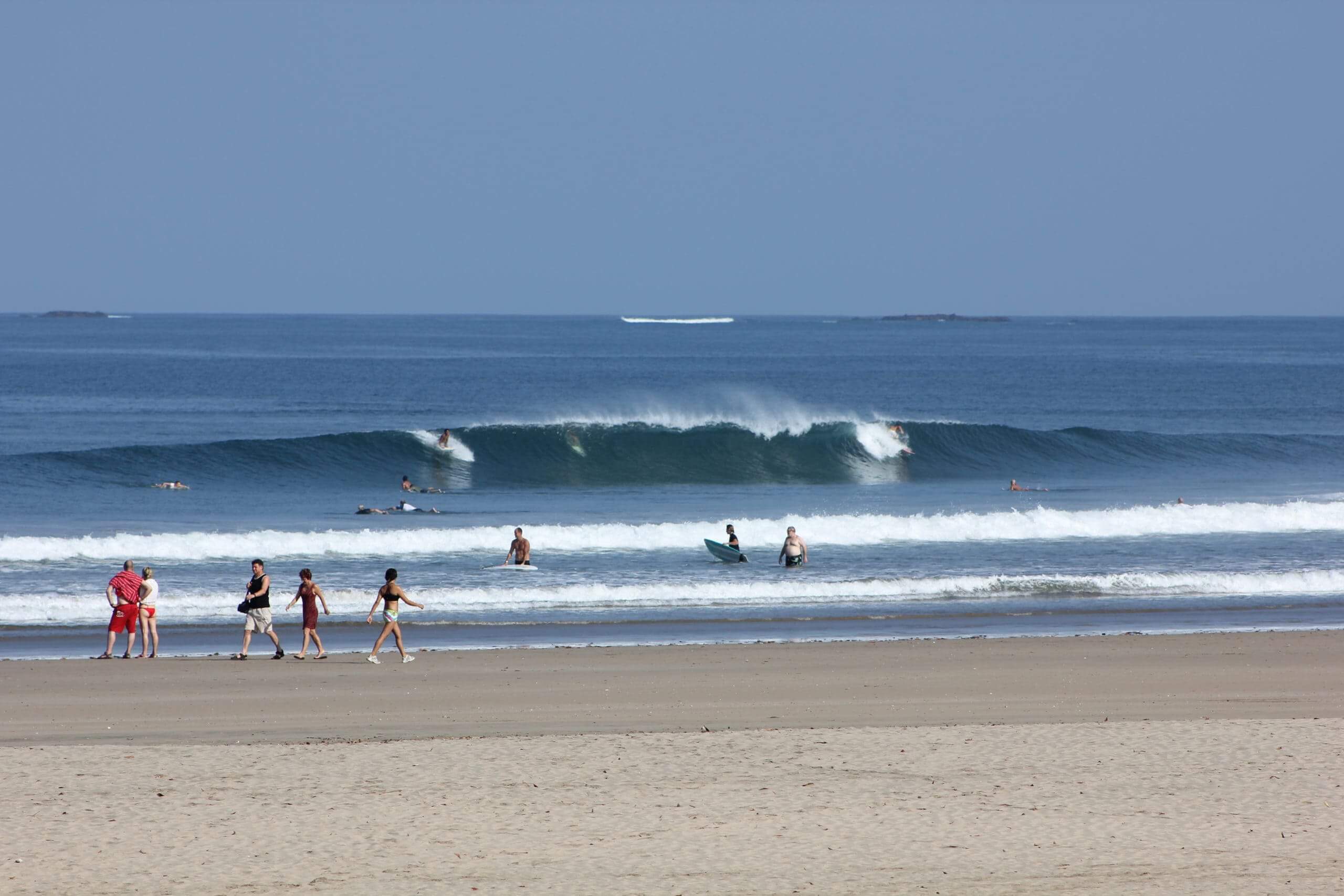 TAMARINDO
