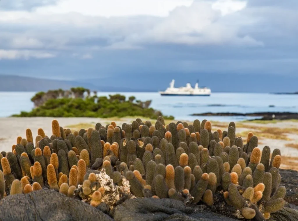 Parque Nacional de Galápagos