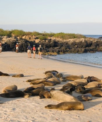 Galápagos
