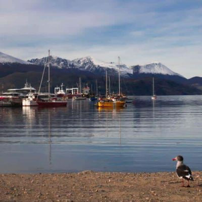 Ushuaia e El Calafate no Outono - 9